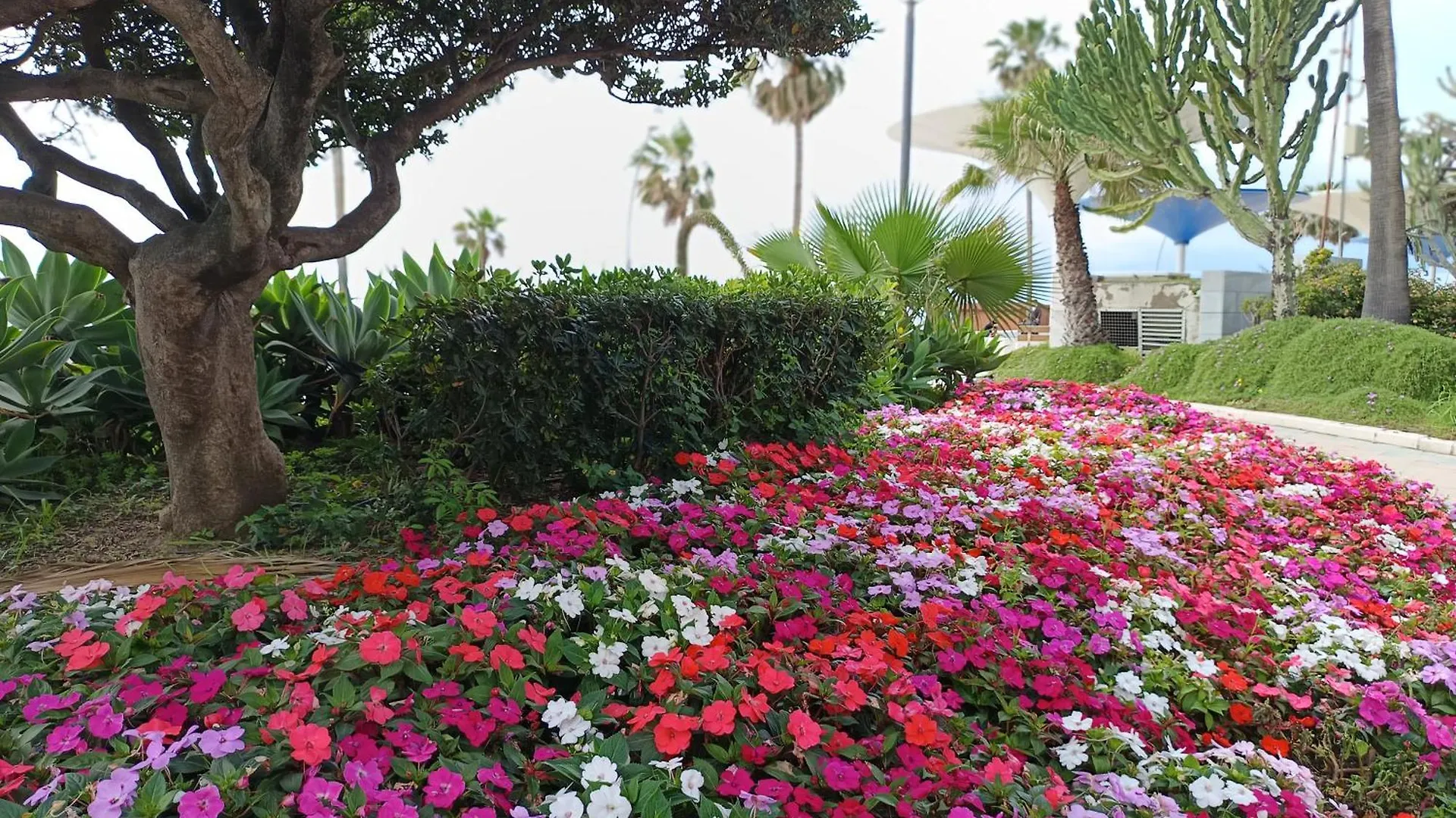 Bahia De La Plata Apartamento Estepona